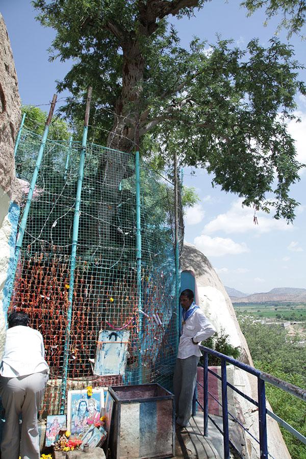 Kalpatharu’ or ‘the Wish-Fulfilling Tree’ is a tamarind tree that stands at the crest ...